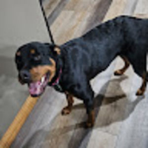 Meet your Posher, Isaac